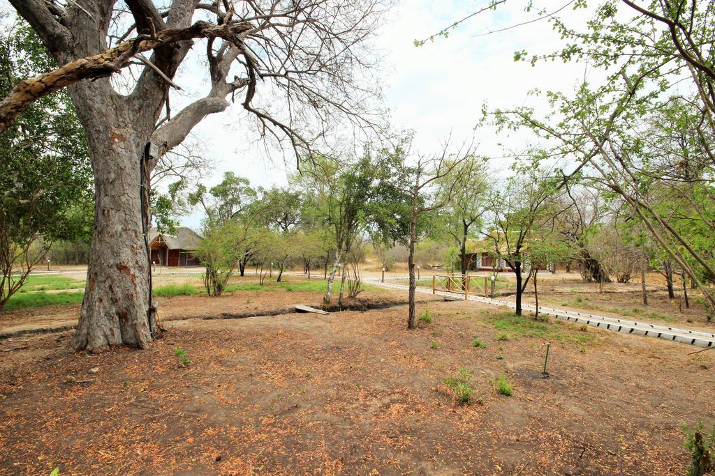 Africa Safari Selous Nyerere National Park Nyakisiku